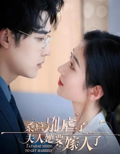 麒麟影院古装短剧我的夫君是赘婿海报